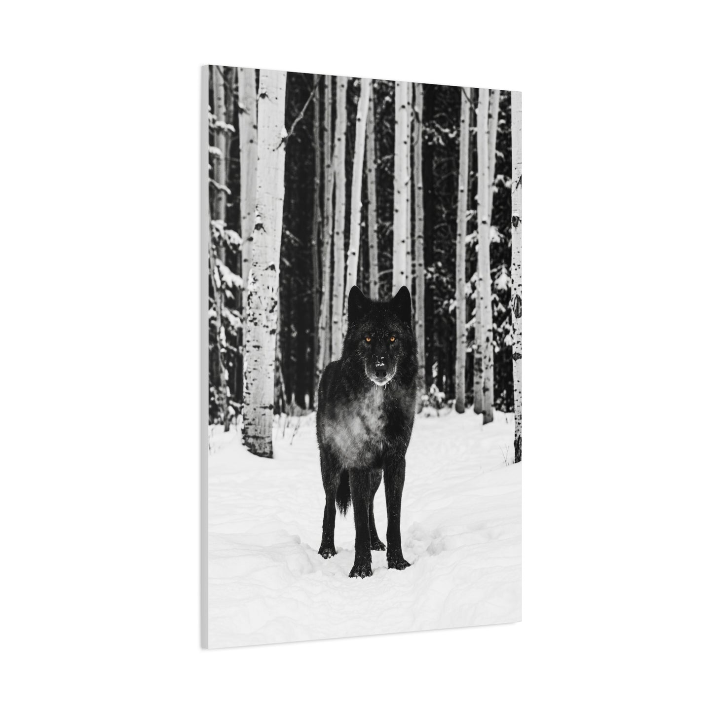 Snow Forest Black Wolf Minimal Scene Wall Art & Canvas Print