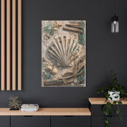 Coastal Shell Relief Composition Wall Art & Canvas Print