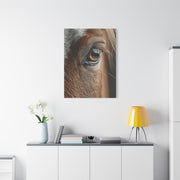 Horse Eye Macro Emotional Detail Wall Art & Canvas Print