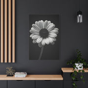 Bold Daisy Contrast Portrait Wall Art & Canvas Prints