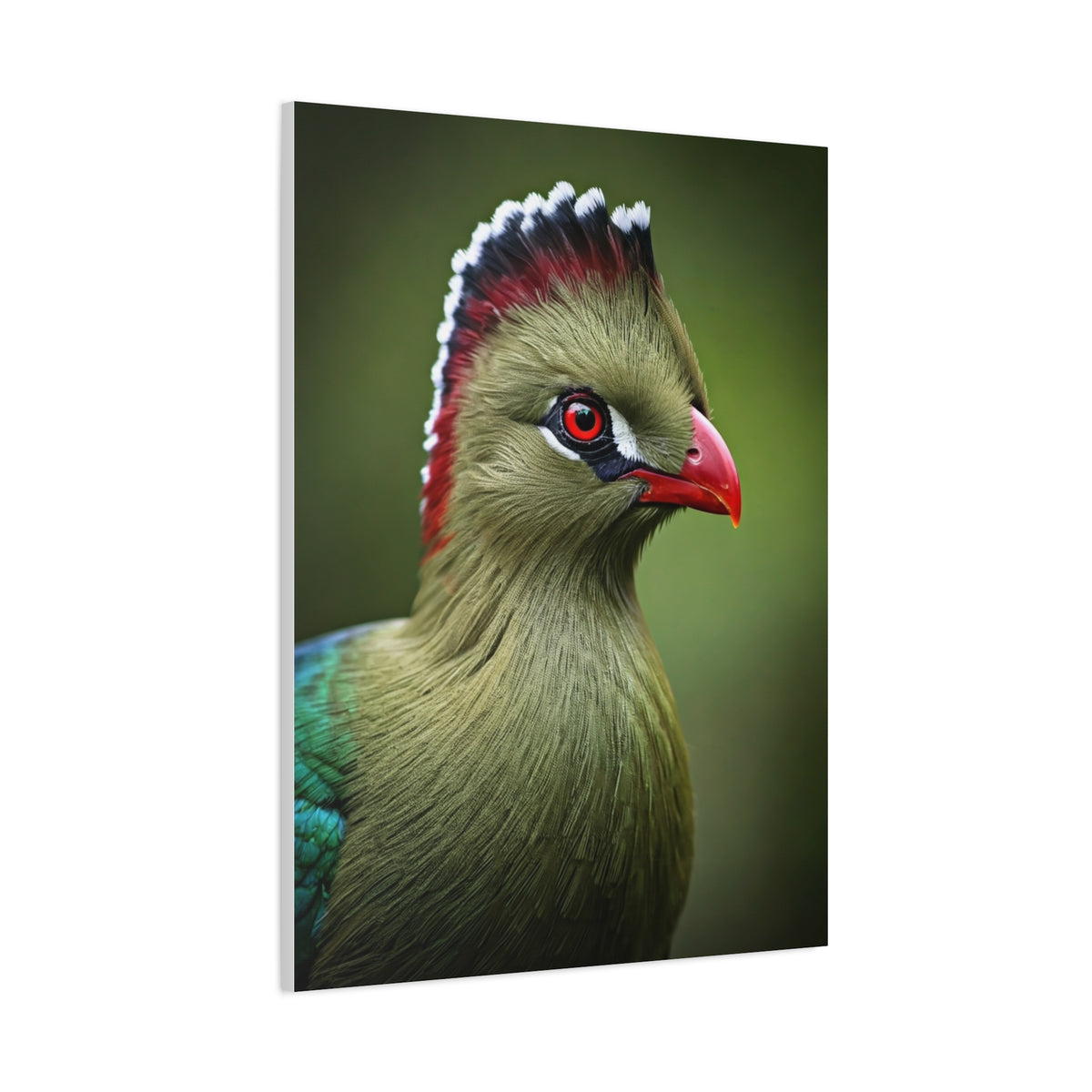 Emerald Crested Turaco Portrait Wall Art & Canvas Prints