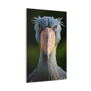 Majestic Shoebill Stork Close-Up Wall Art & Canvas Prints