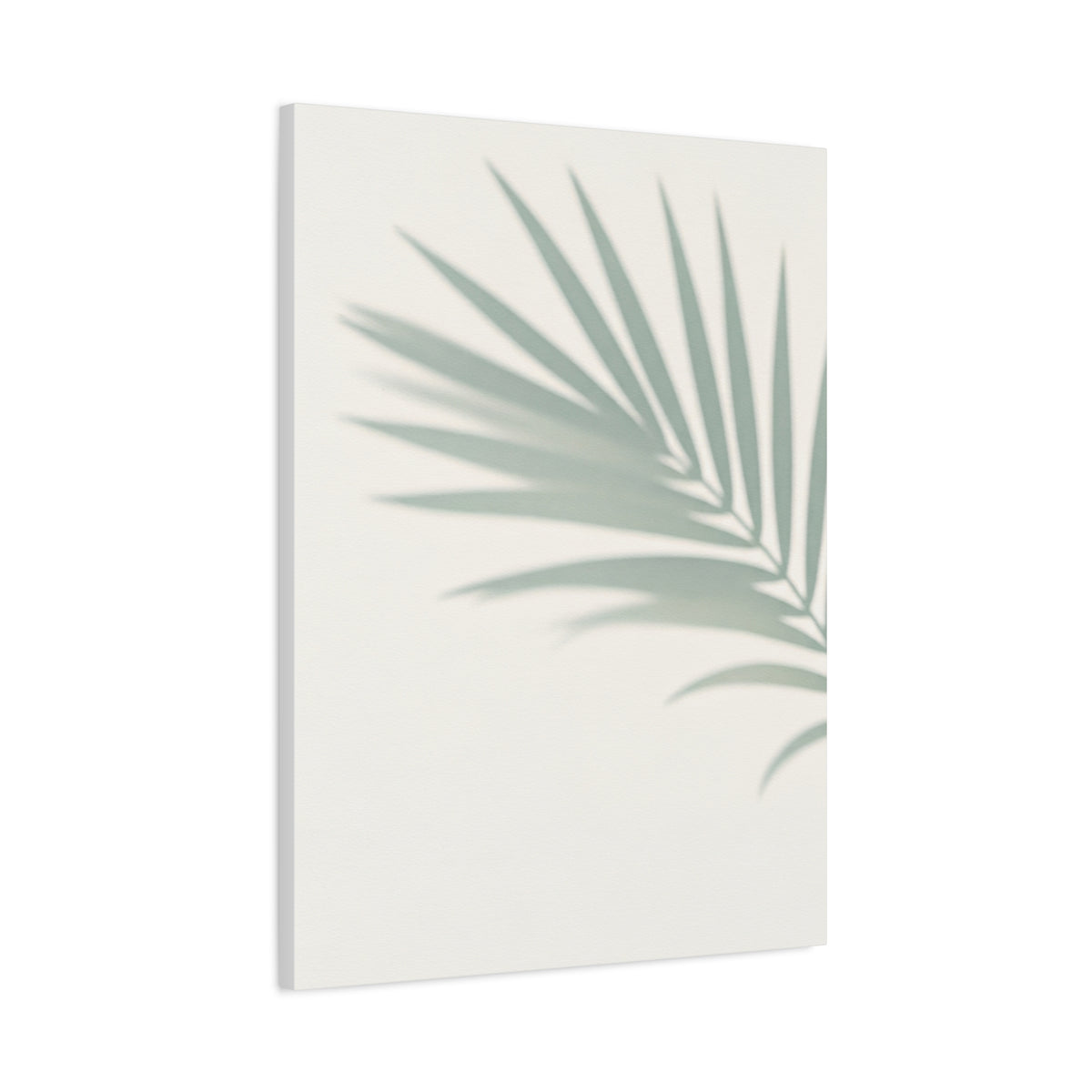 Soft Palm Frond Shadow Minimal Wall Art & Canvas Prints