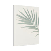 Soft Palm Frond Shadow Minimal Wall Art & Canvas Prints