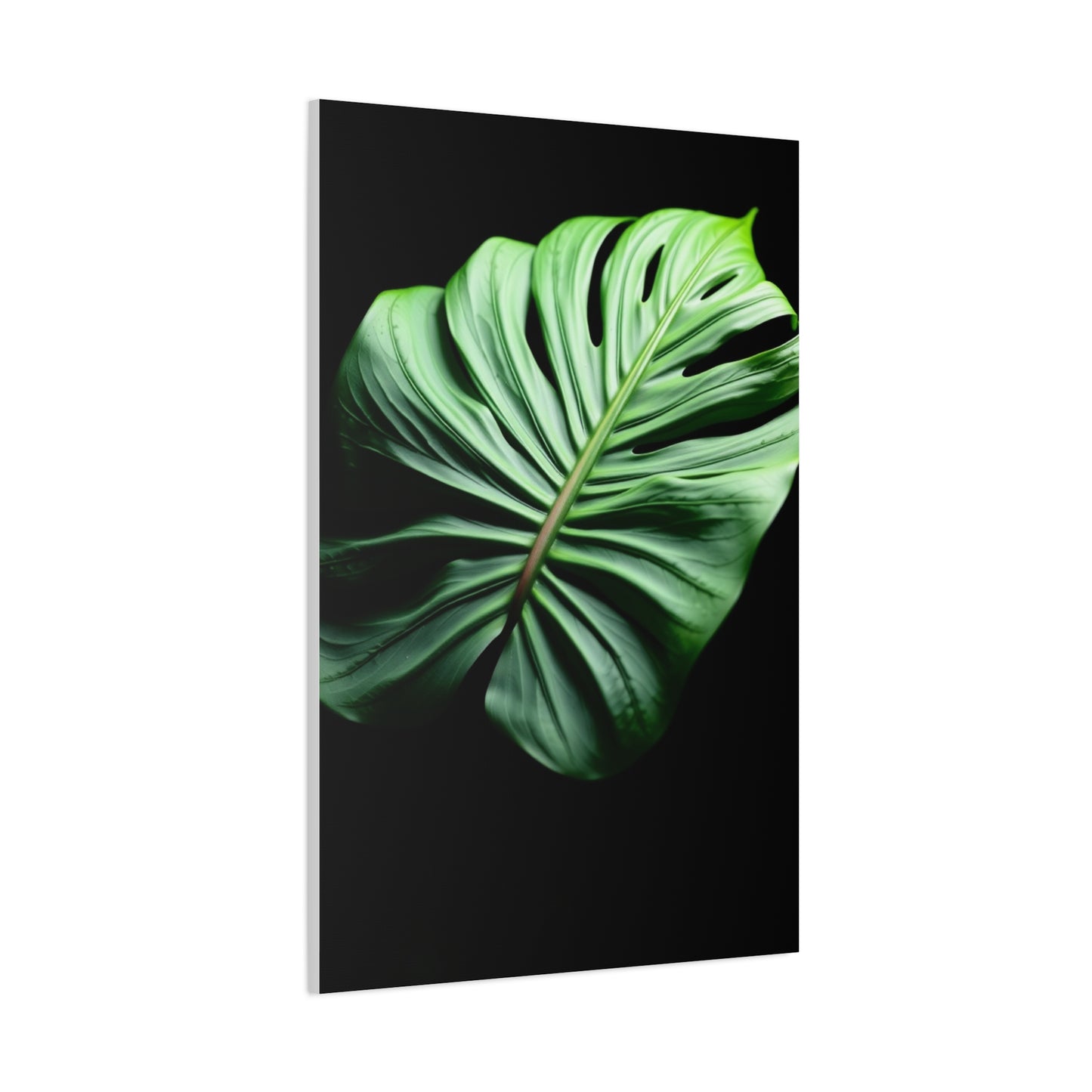 Monstera Plant Art Supreme Gallery Wall Art & Canvas Print