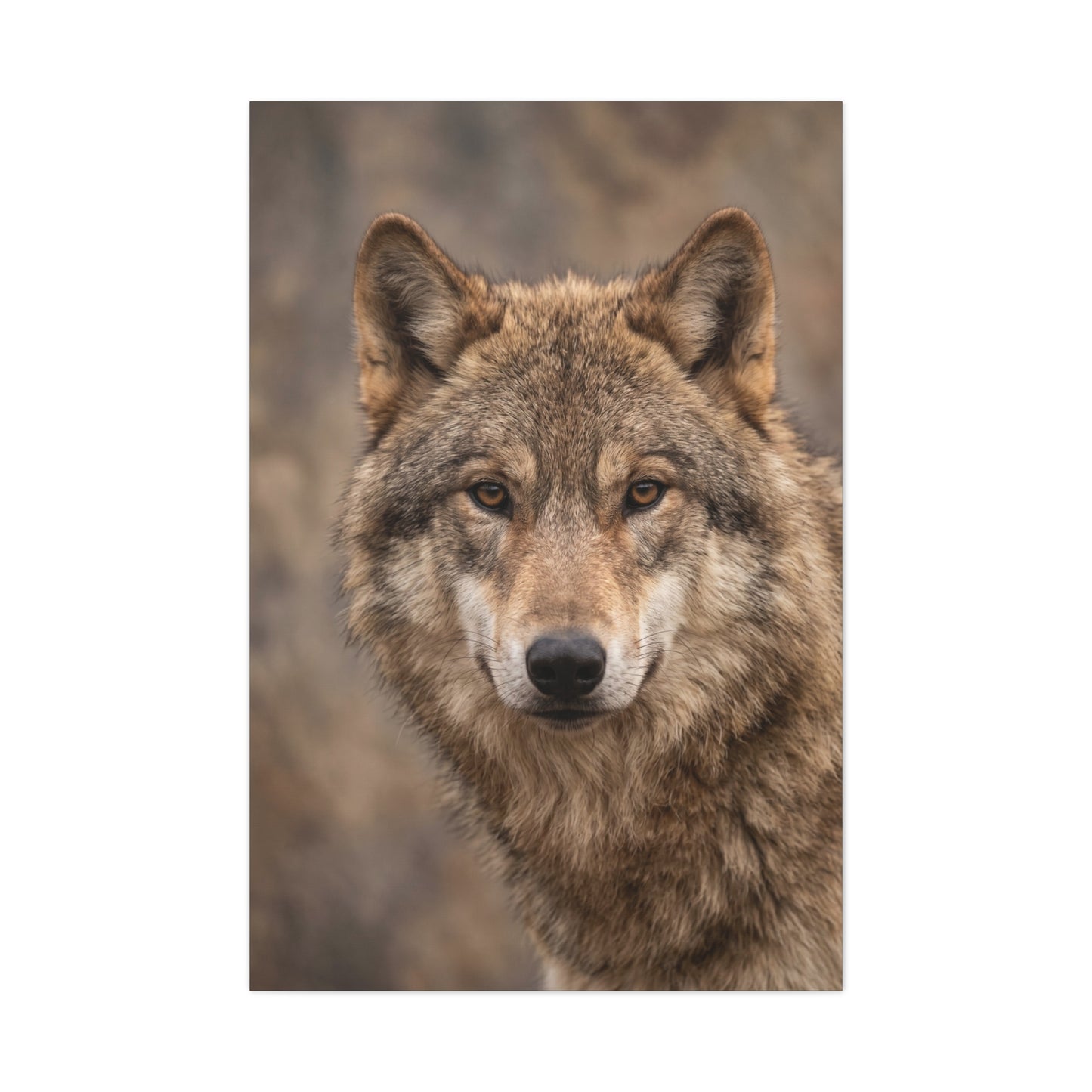 Natural Gray Wolf Close Portrait Wall Art & Canvas Print