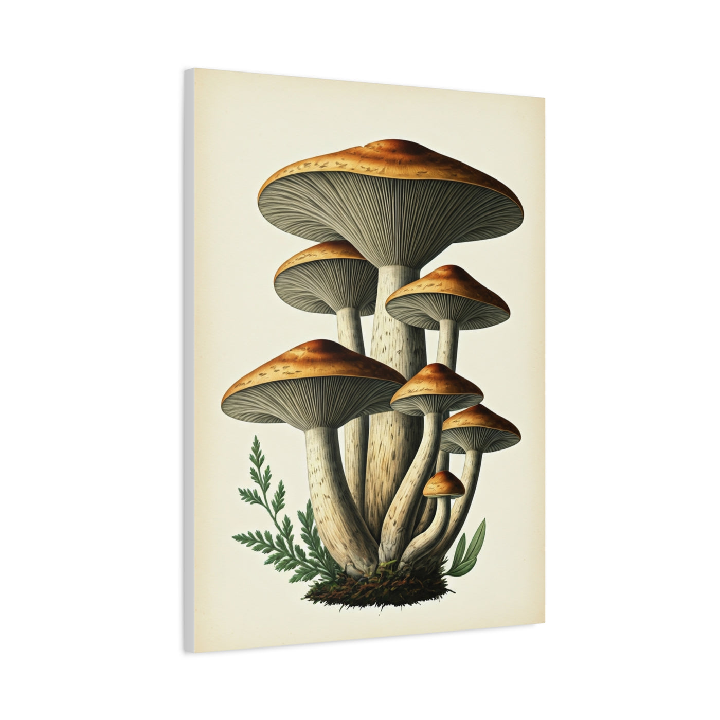 Forest Mushroom Cluster Illustration Wall Art & Canvas Prints