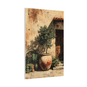 Mediterranean Olive Tree Entrance Wall Art & Canvas Print