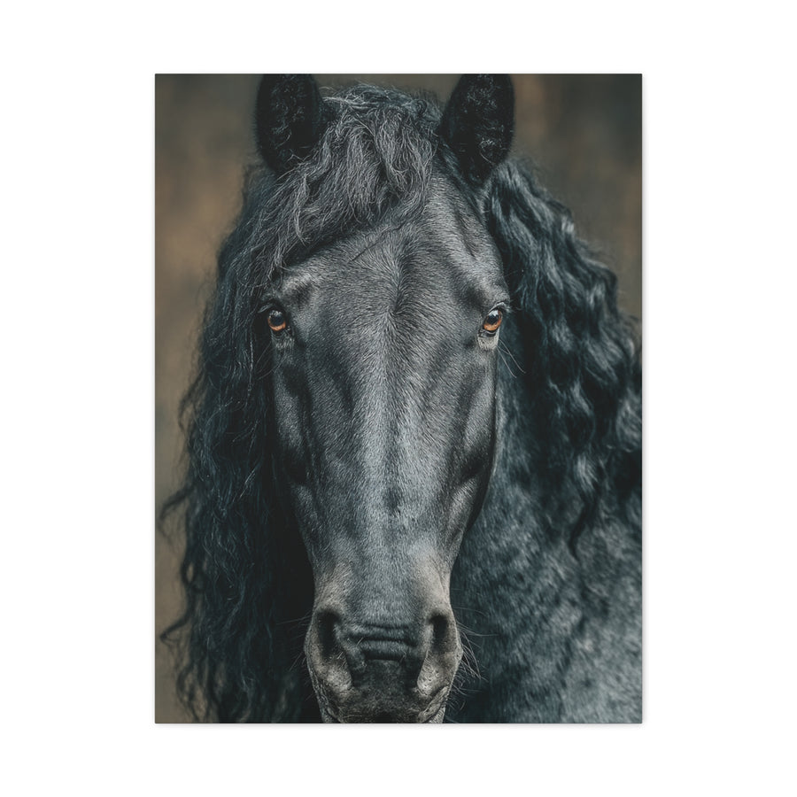 Black Horse Frontal Portrait Wall Art & Canvas Print
