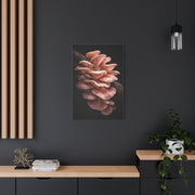 Blush Pink Oyster Mushroom Macro Study Wall Art & Canvas Print