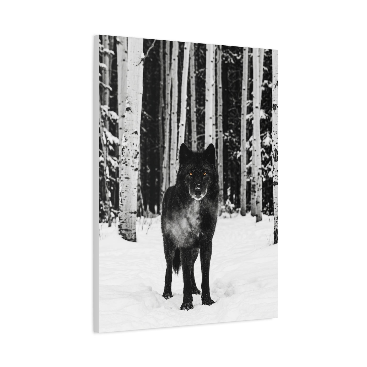 Snow Forest Black Wolf Minimal Scene Wall Art & Canvas Print