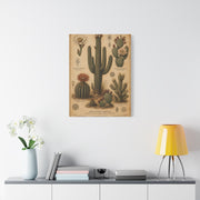 Vintage Desert Botanical Study Southwest Wall Art & Canvas Print