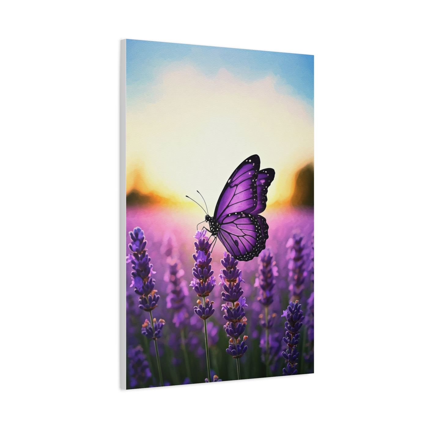 Lavender Field Purple Butterfly Wall Art & Canvas Prints