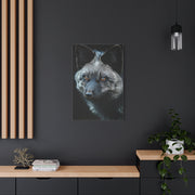 Silver Fox Velvet Portrait Wall Art & Canvas Print
