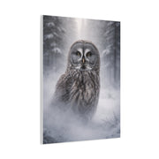 Great Grey Owl Winter Mist Portrait Wall Art & Canvas Print