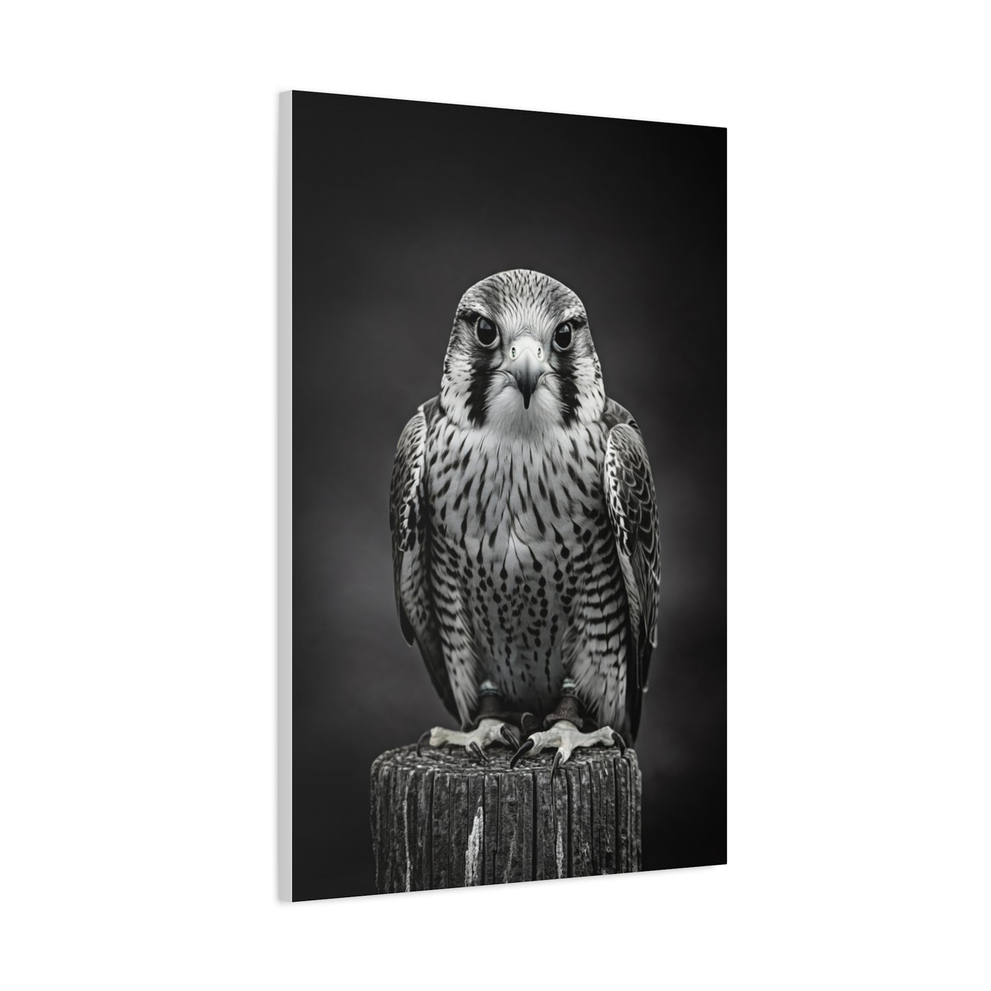 Majestic Falcon Portrait Wall Art & Canvas Prints