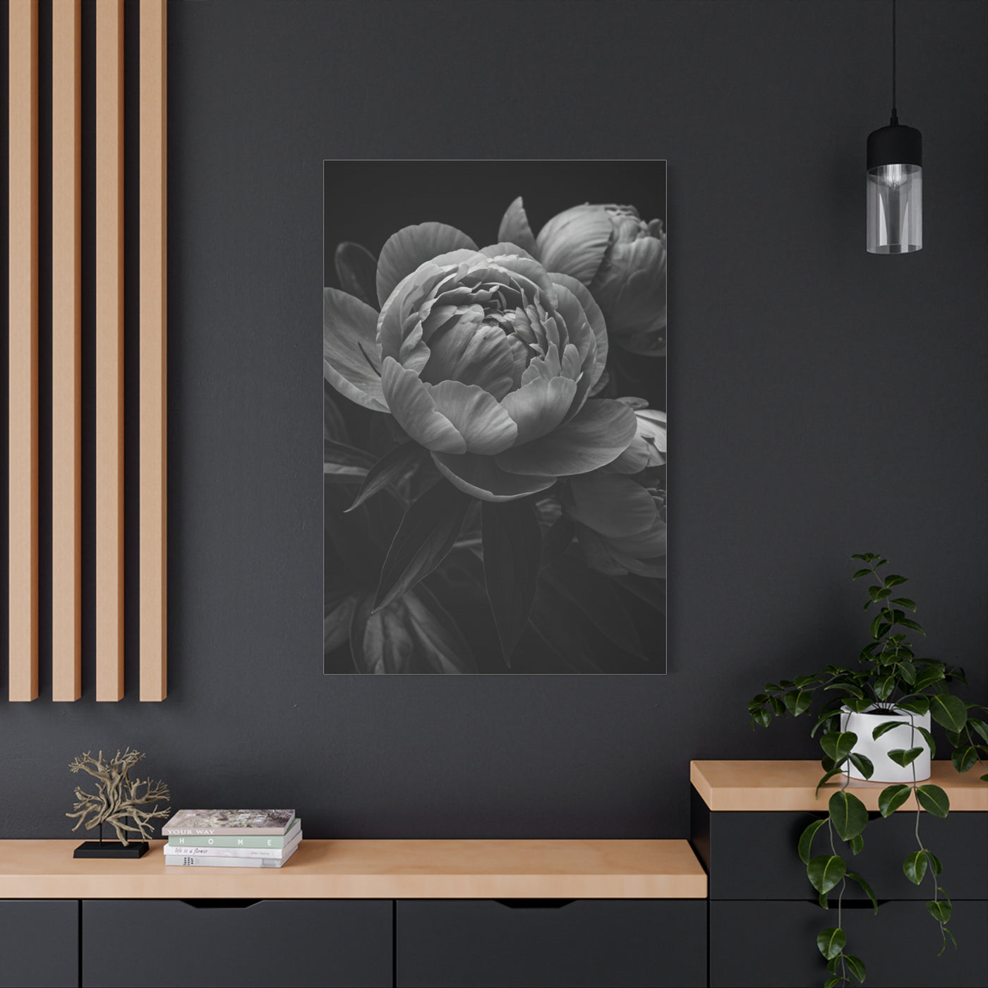 Peony Close-Up in Black and White Wall Art & Canvas Prints