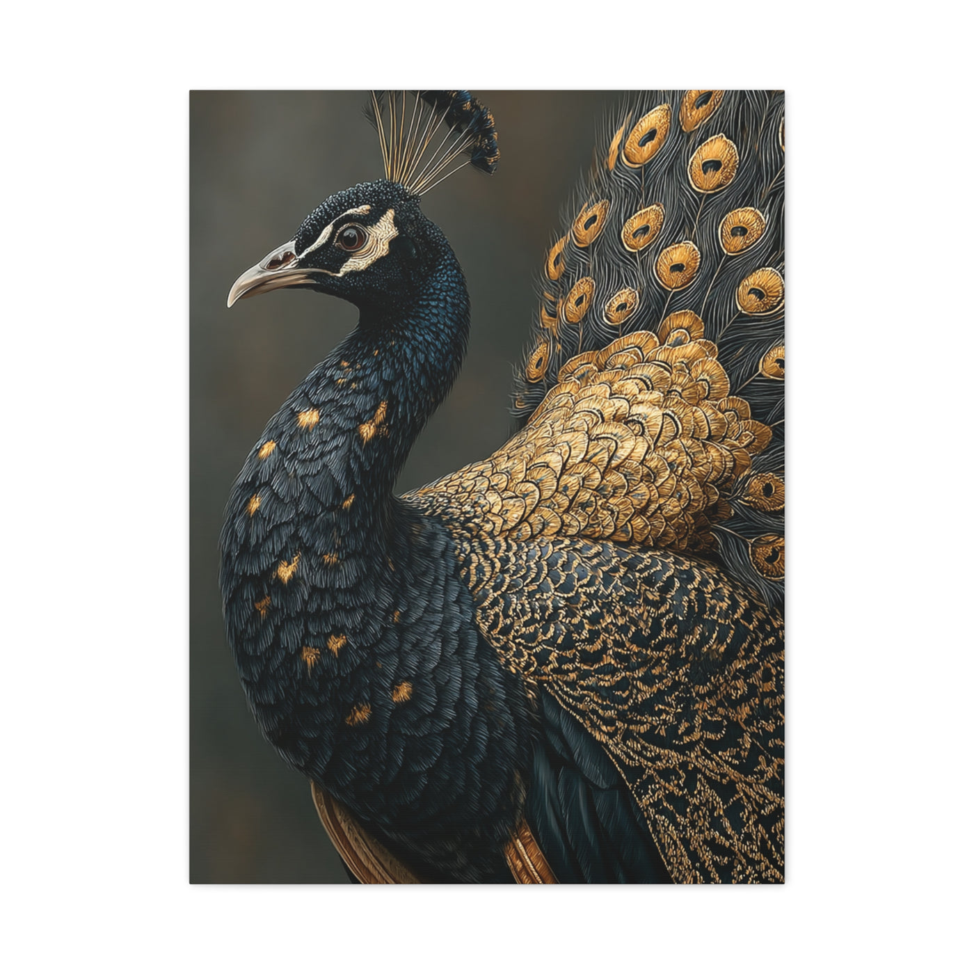 Black and Gold Peacock Elegance Wall Art & Canvas Print