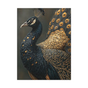 Black and Gold Peacock Elegance Wall Art & Canvas Print