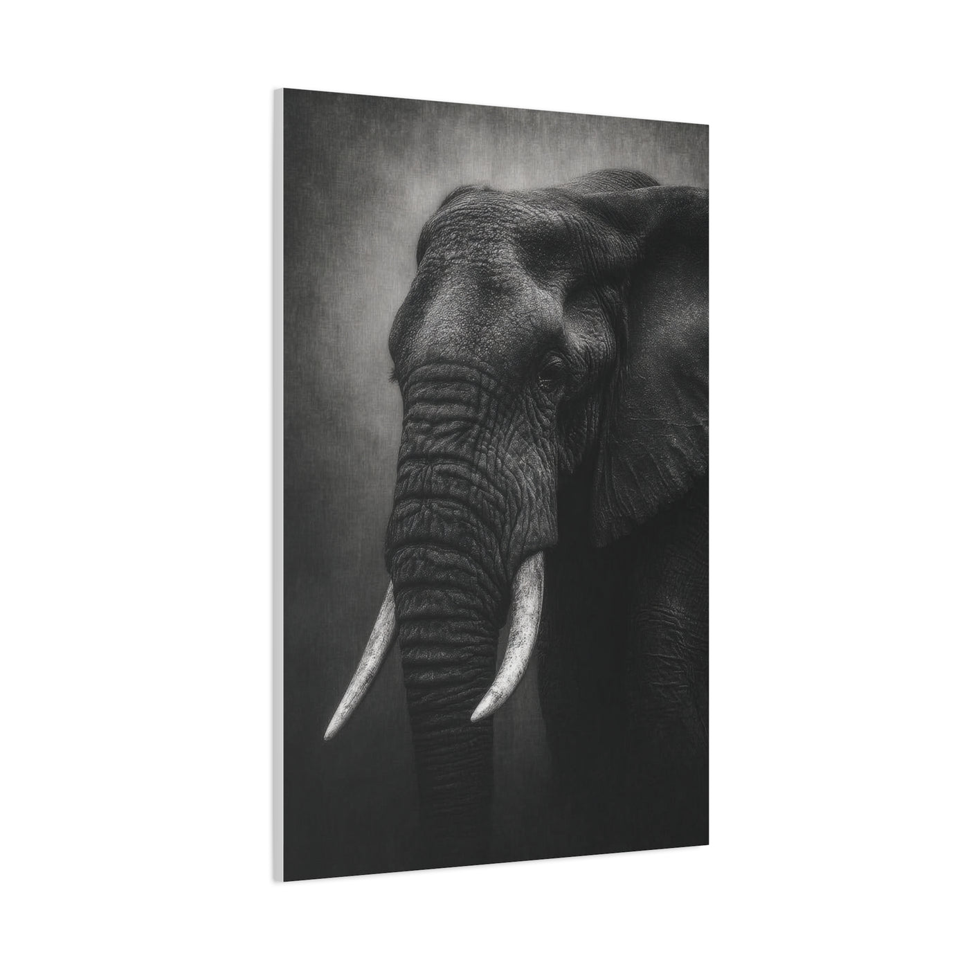 Monochrome Elephant Fine Art Portrait Wall Art & Canvas Print