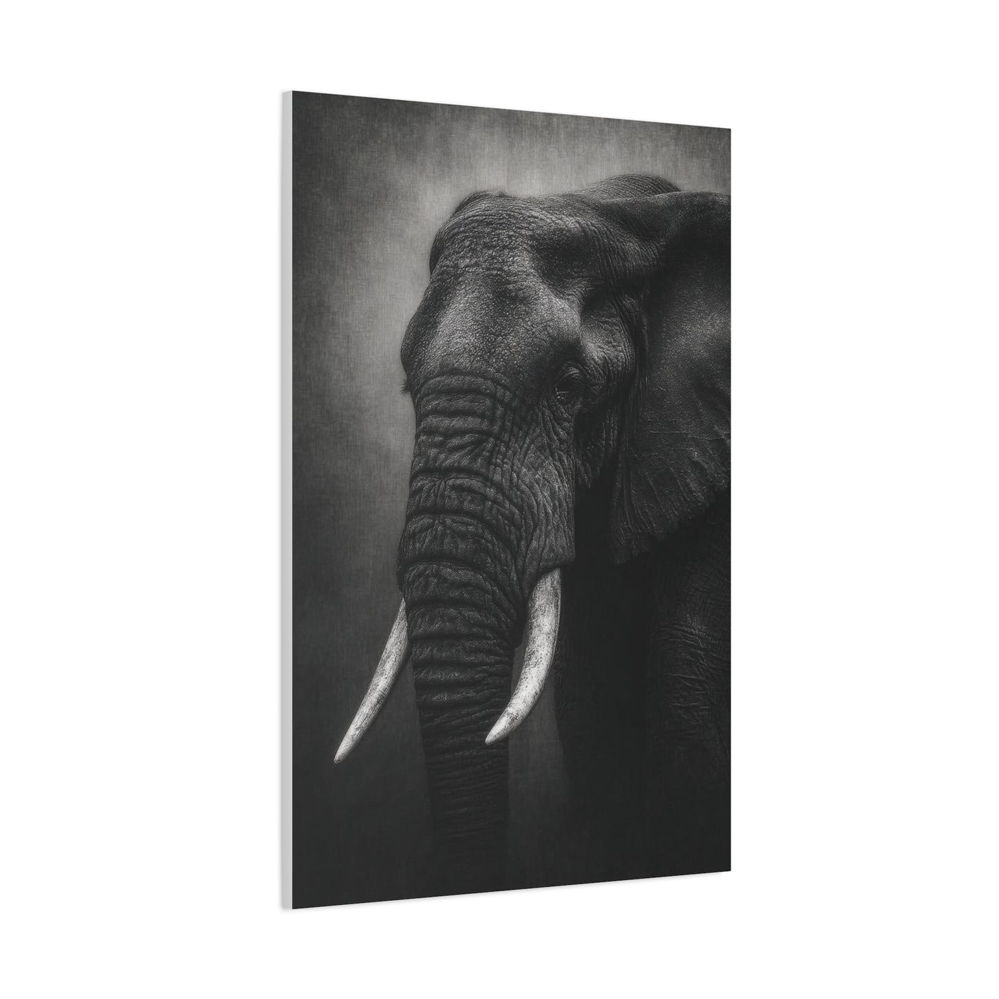 Monochrome Elephant Fine Art Portrait Wall Art & Canvas Print
