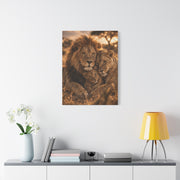 Lion Family Embrace Golden Bond Wall Art & Canvas Print