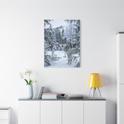 Winter Forest Wolf Natural Encounter Scene Wall Art & Canvas Print
