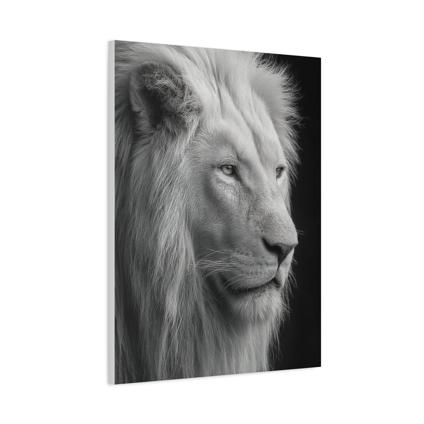White Lion Monochrome Close Portrait Wall Art & Canvas Print