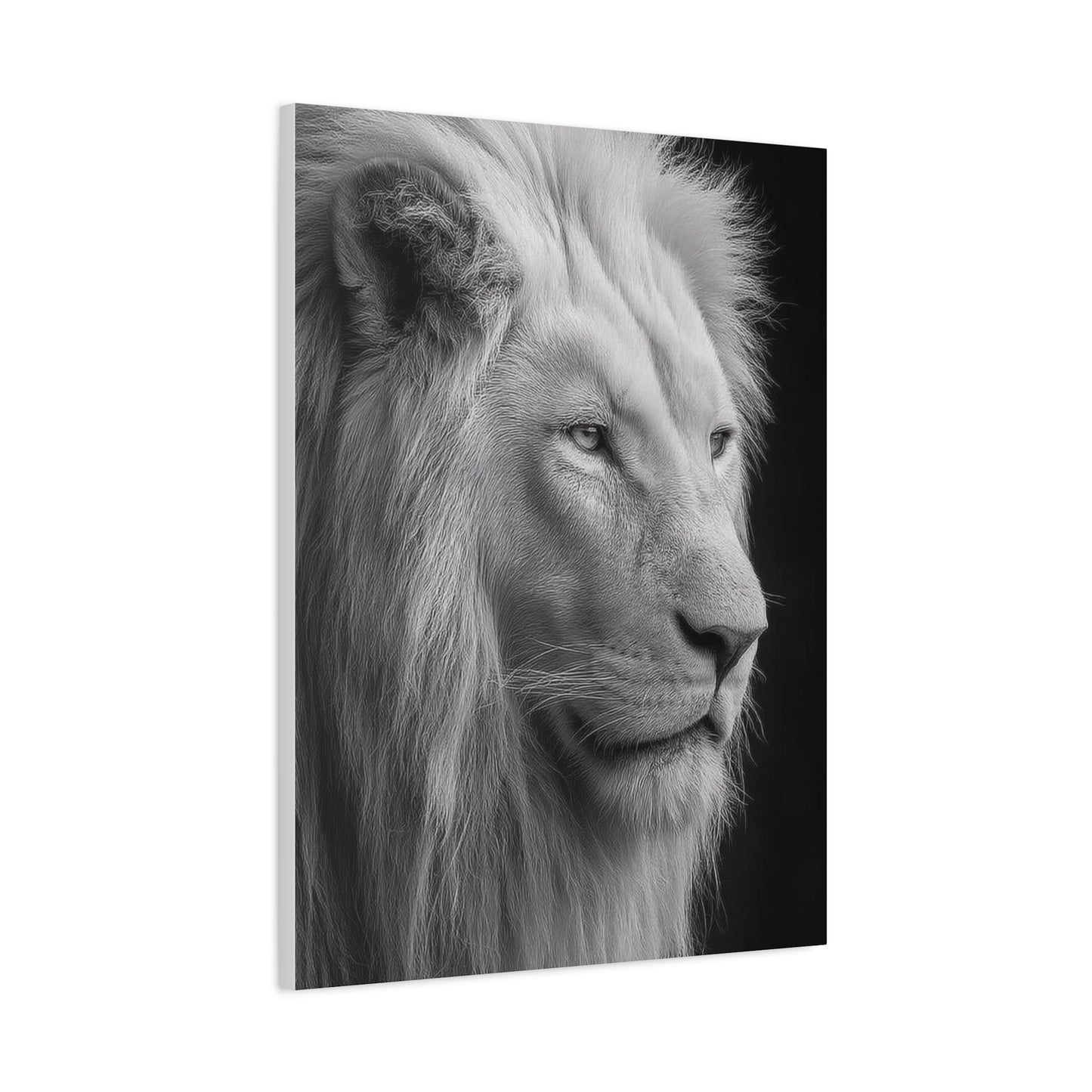 White Lion Monochrome Close Portrait Wall Art & Canvas Print