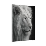 White Lion Monochrome Close Portrait Wall Art & Canvas Print