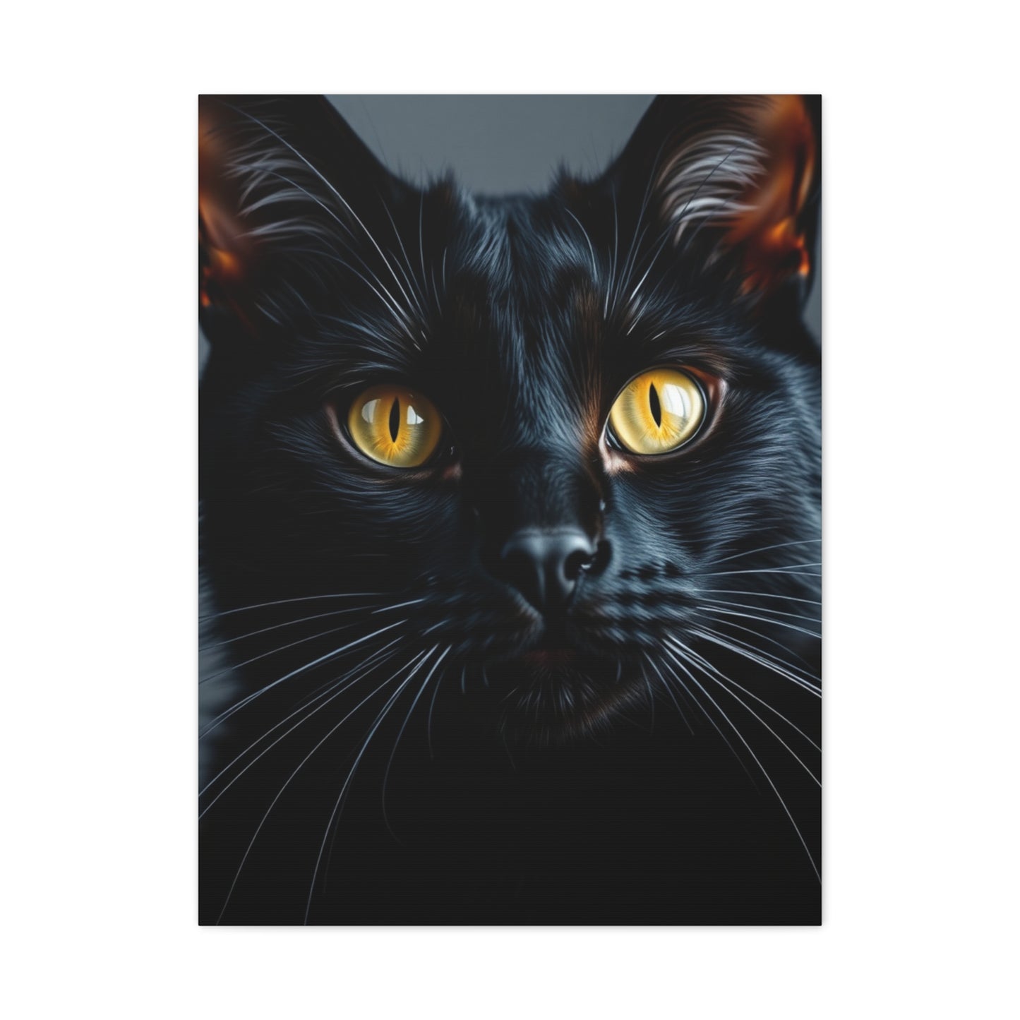 Supreme Black Cat Art Beautiful Collection Wall Art & Canvas Print