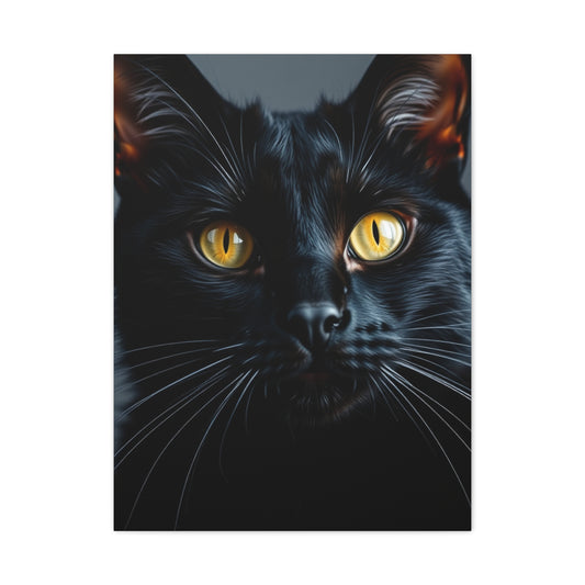 Supreme Black Cat Art Beautiful Collection Wall Art & Canvas Print