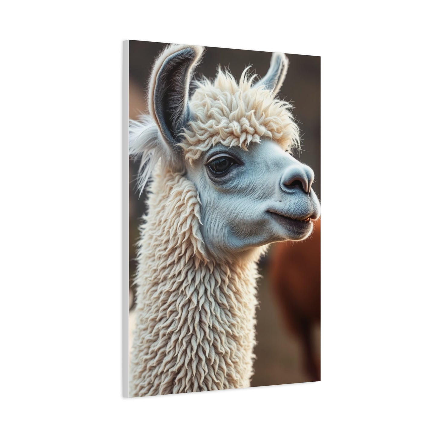 Collection Llama & Alpaca Art Art Wall Art & Canvas Print