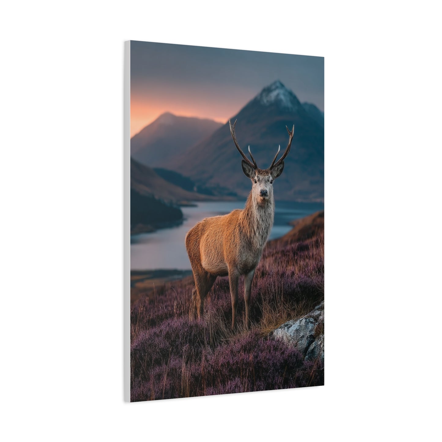 Scottish Highland Sunrise Stag Wall Art & Canvas Print
