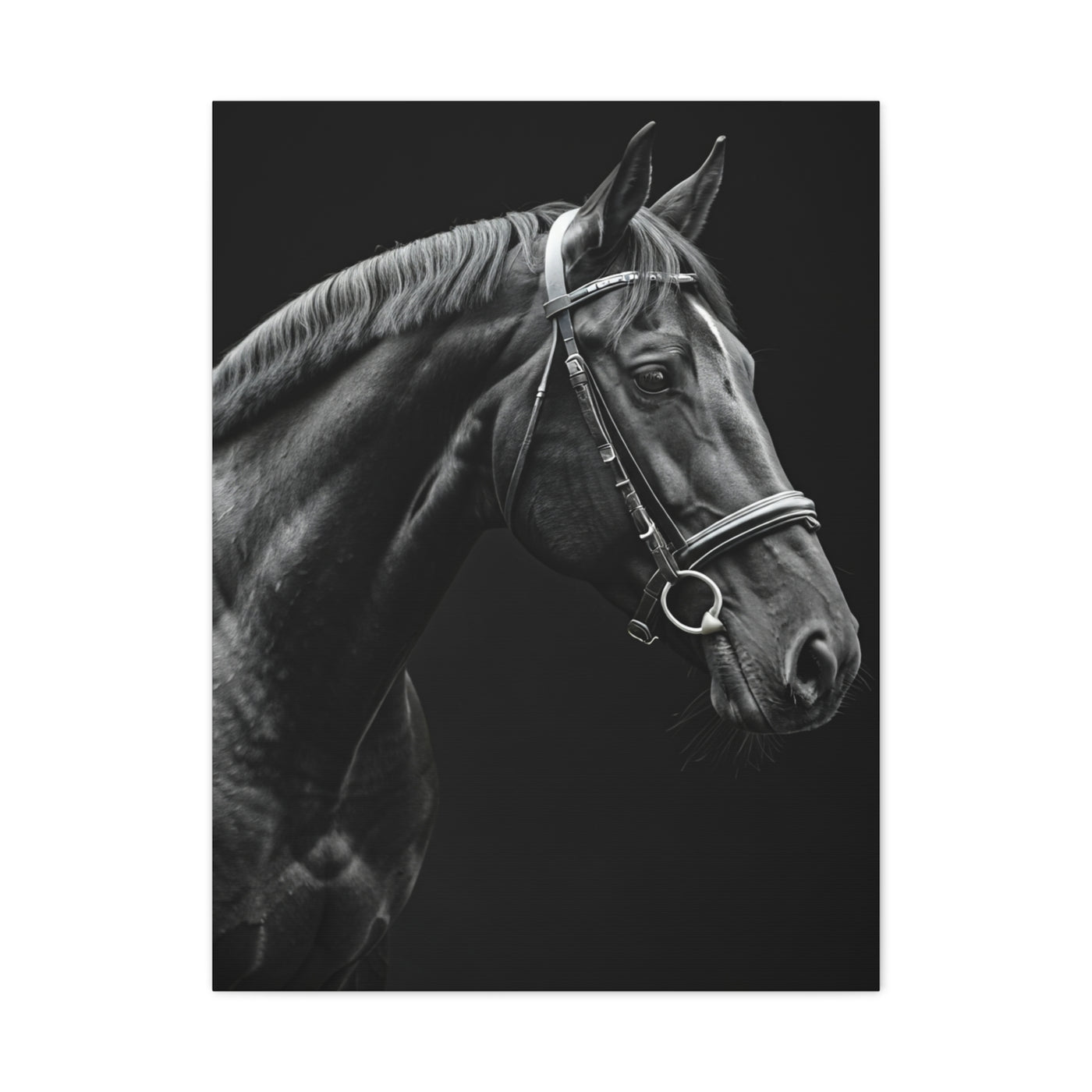 Elegant Black Stallion Profile Wall Art & Canvas Prints