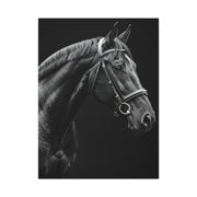 Elegant Black Stallion Profile Wall Art & Canvas Prints