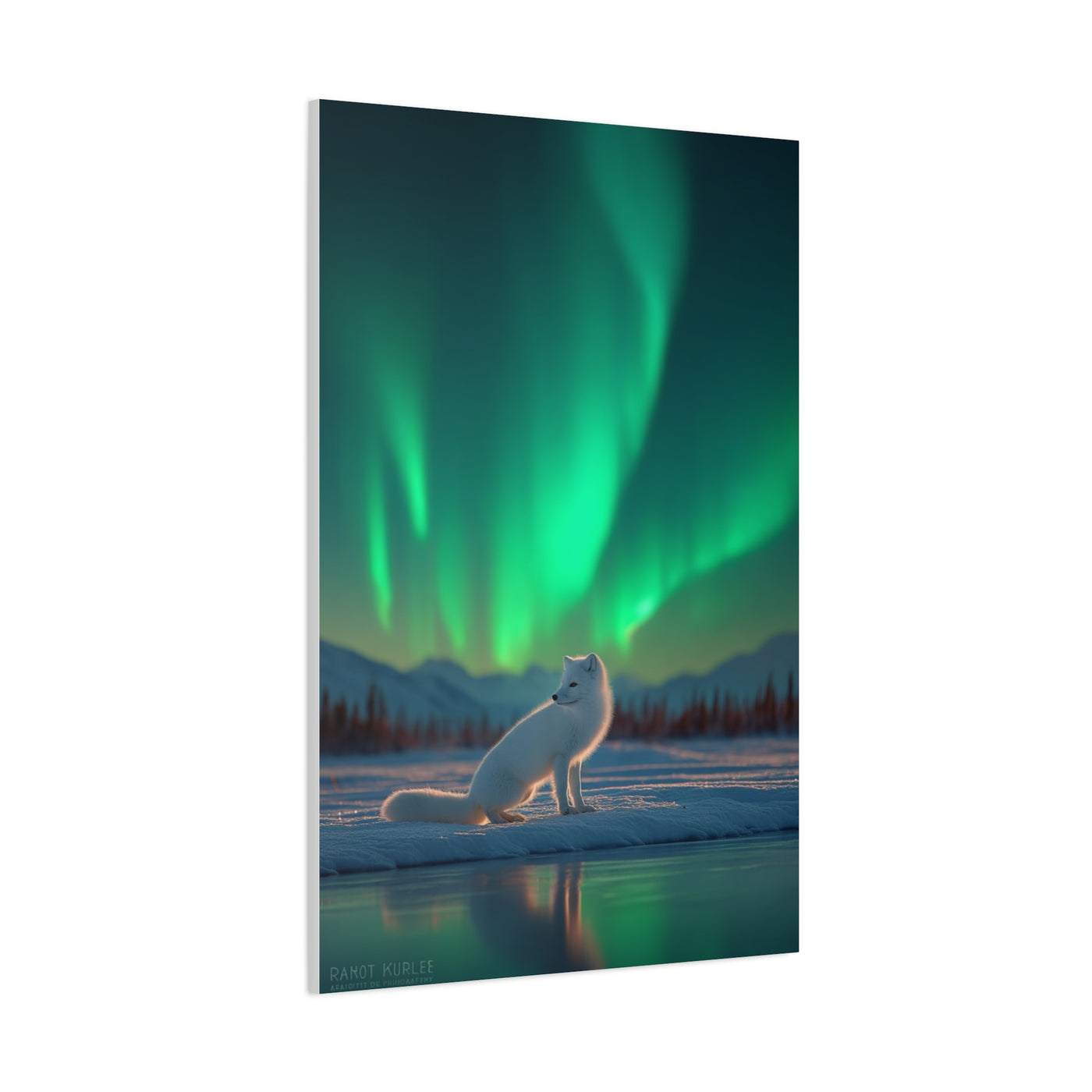 Arctic Fox Aurora Night Wall Art & Canvas Print